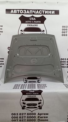 1932550-ET-C TESLA MODEL Y Панель капота (ліцензія) 2025-26