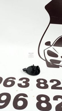 194019100D TESLA MODEL Y Заглушка бампера під гак(ліцензія) 2025-26