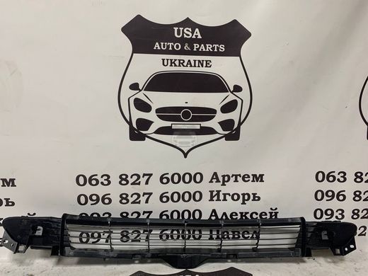 1085927-00-C TESLA MODEL 3 Решітка переднього бампера (ліцензія) 2017-23