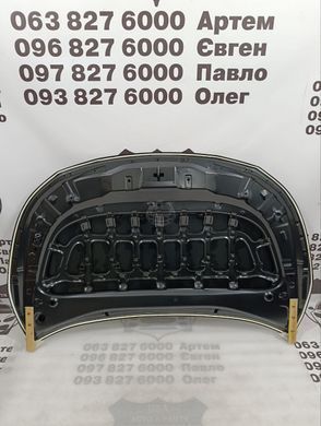 5330112B70 TOYOTA COROLLA Панель капота (ліцензія) 2020-23
