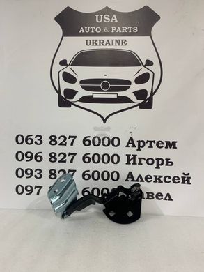 1098793-00-D TESLA MODEL 3 Петля капот права (ліцензія) 2021-23