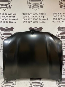 41002459937 BMW X3 (G01)(G08) Панель капота ліцензія 2017-23